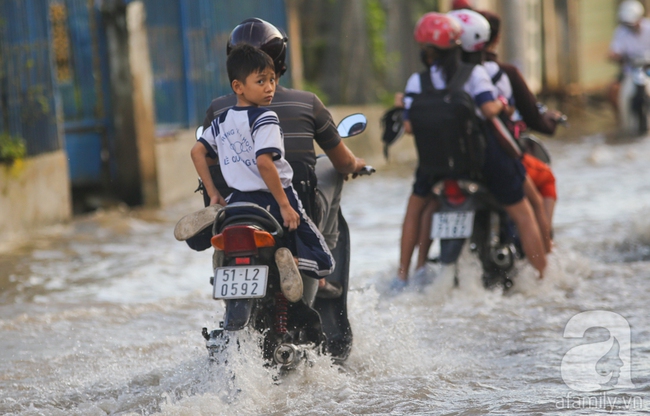 Triều cường dâng cao, người Sài Gòn lại bì bõm lội nước về nhà - Ảnh 4.