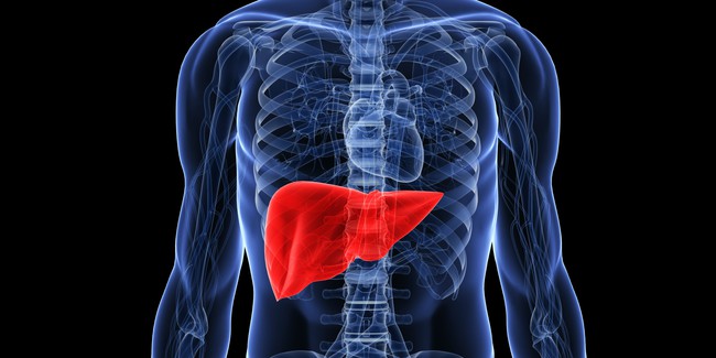 9 dấu hiệu cảnh báo và 3 bước thải độc gan ai cũng phải biết để bảo vệ cả gan và tim - Ảnh 4.
