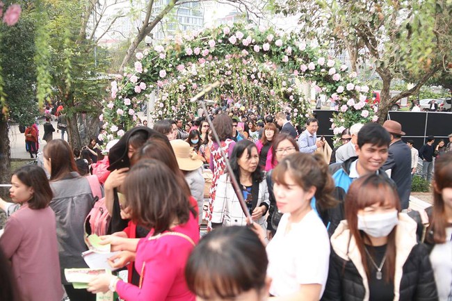 Sở Văn hóa và Thể thao Hà Nội yêu cầu tháo hoa giả, thay thế bằng hoa thật - Ảnh 3.