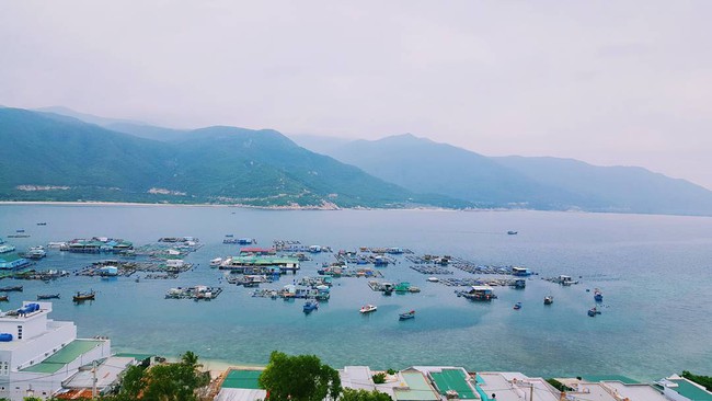 5 tour du lịch 1 ngày đáng đồng tiền bát gạo nên khám phá khi đến Nha Trang - Ảnh 23.