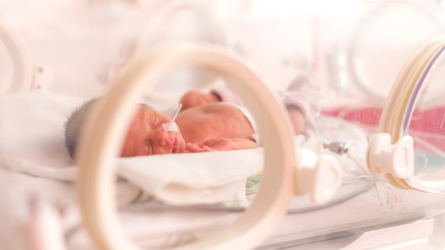 Phát minh mang tính đột phá: Tử cung nhân tạo giúp các bé sinh non có thêm cơ hội sống sót - Ảnh 1.