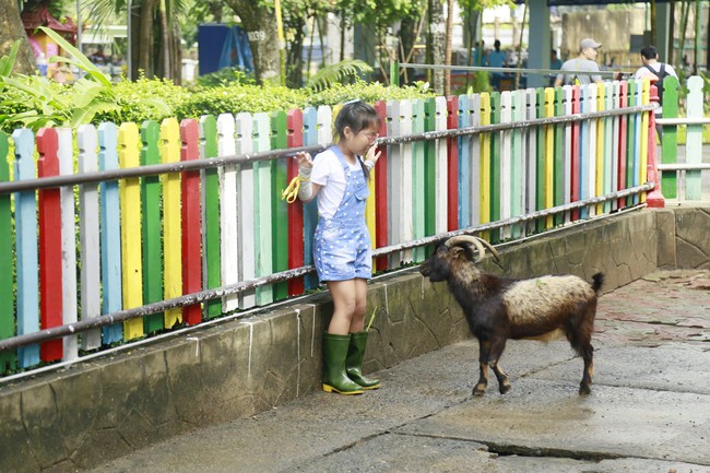 Hai bà cháu nhà Cẩm Ly thi nhau gạt nước mắt vì thử thách đáng sợ nhất trên đời - Ảnh 3.