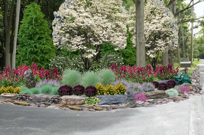 4 ý tưởng trang trí sân vườn bằng các loài hoa cho mùa hè rực rỡ - Ảnh 7.