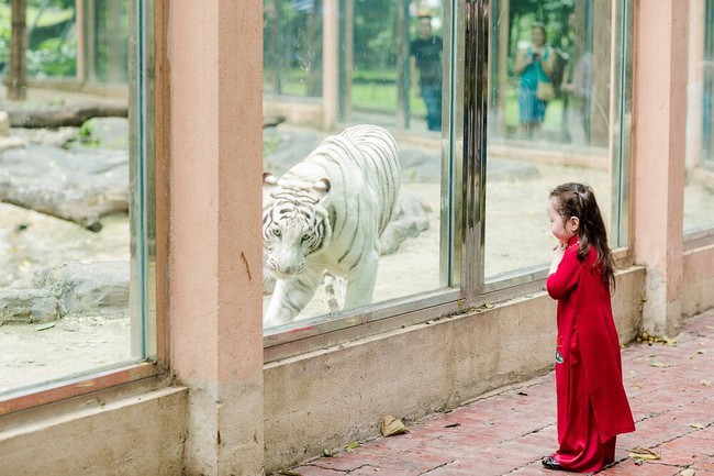 Mẹ con Elly Trần diện áo dài đỏ thắm du xuân khiến ai cũng phải ngoái nhìn - Ảnh 13.