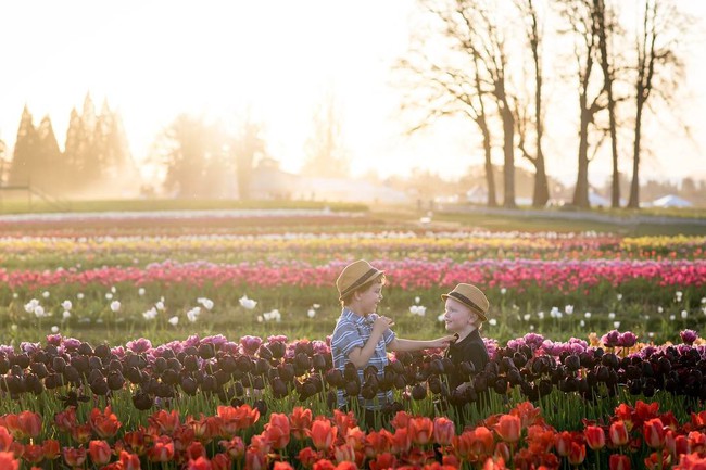 6 khu vườn hoa tulip chỉ nhìn thôi cũng khiến người ta ngất ngây bởi quá đẹp, quá rực rỡ - Ảnh 6.