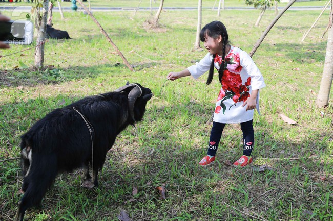 Cuối tuần, trẻ nhỏ được cha mẹ dẫn đi xem lễ hội chọi dê Hà Giang độc đáo ngay tại Hà Nội - Ảnh 3.