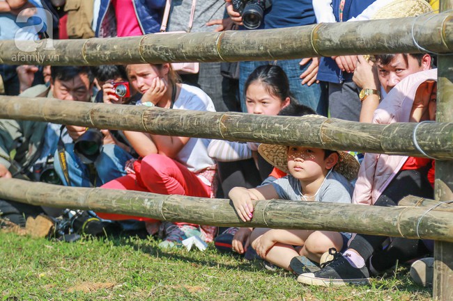 Cuối tuần, trẻ nhỏ được cha mẹ dẫn đi xem lễ hội chọi dê Hà Giang độc đáo ngay tại Hà Nội - Ảnh 13.