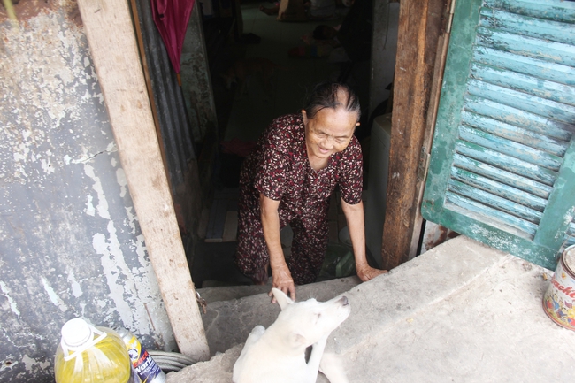 Sau nâng đường, dân sống trong nhà hầm, toilet tràn ngược lên sàn nhà, hôi thối không chịu nổi - Ảnh 6.