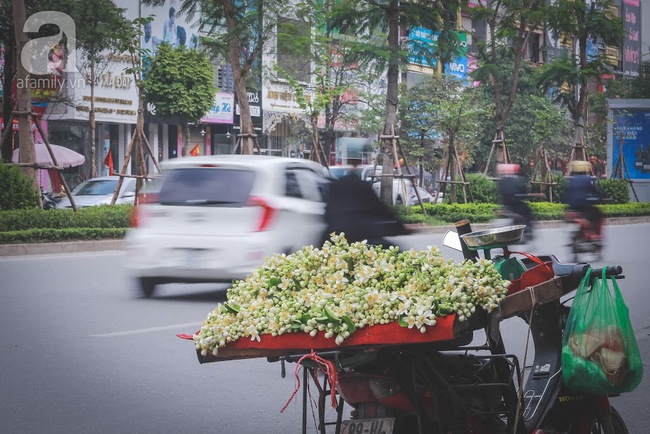 Tháng ba sắp về, phố phường Hà Nội lại dịu dàng nồng nàn hương bưởi - Ảnh 9.