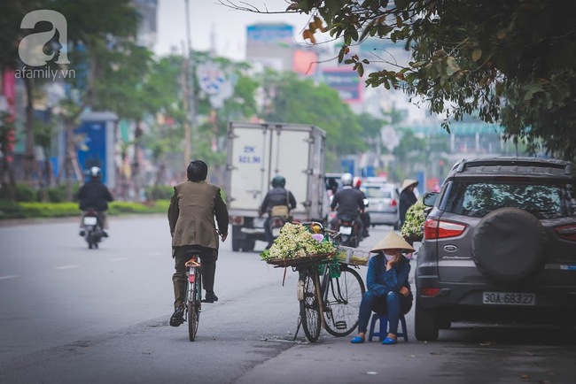 Tháng ba sắp về, phố phường Hà Nội lại dịu dàng nồng nàn hương bưởi - Ảnh 5.