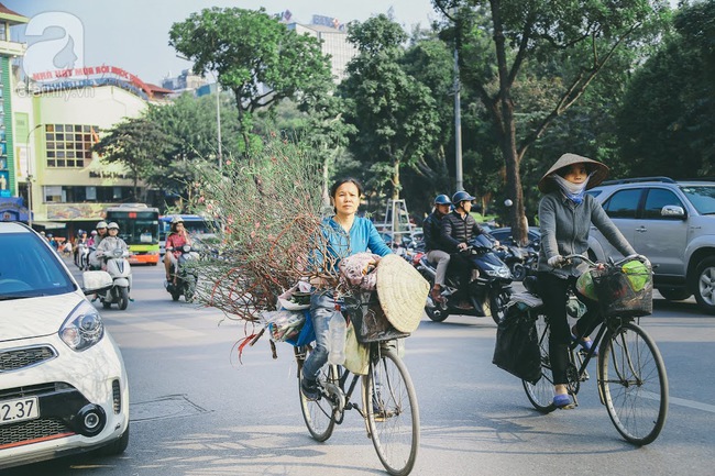 Rằm tháng Chạp, đã thấy nôn nao vị Tết khi hoa đào về trên phố xuân - Ảnh 3.