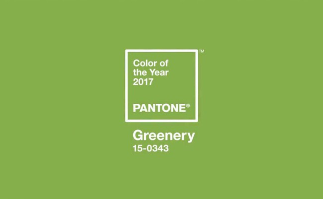 3 màu sắc được chọn là xu hướng trang trí nhà cho năm 2017 - Ảnh 2.