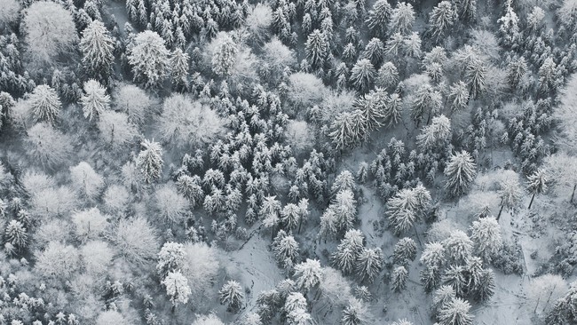 Những khung cảnh đẹp như cổ tích khi tuyết trắng bao phủ trên thế giới - Ảnh 9.