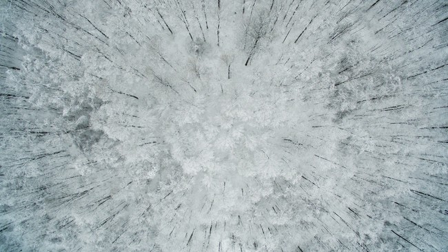Những khung cảnh đẹp như cổ tích khi tuyết trắng bao phủ trên thế giới - Ảnh 11.
