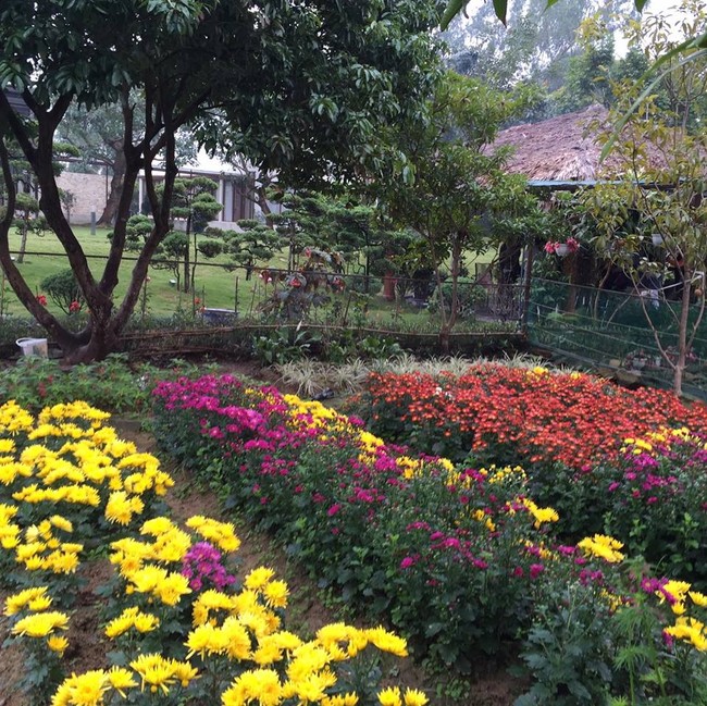 Cuộc sống bình yên của gia đình ca sĩ Mỹ Linh trong nhà vườn ngập tràn sắc hoa ở ngoại ô - Ảnh 12.