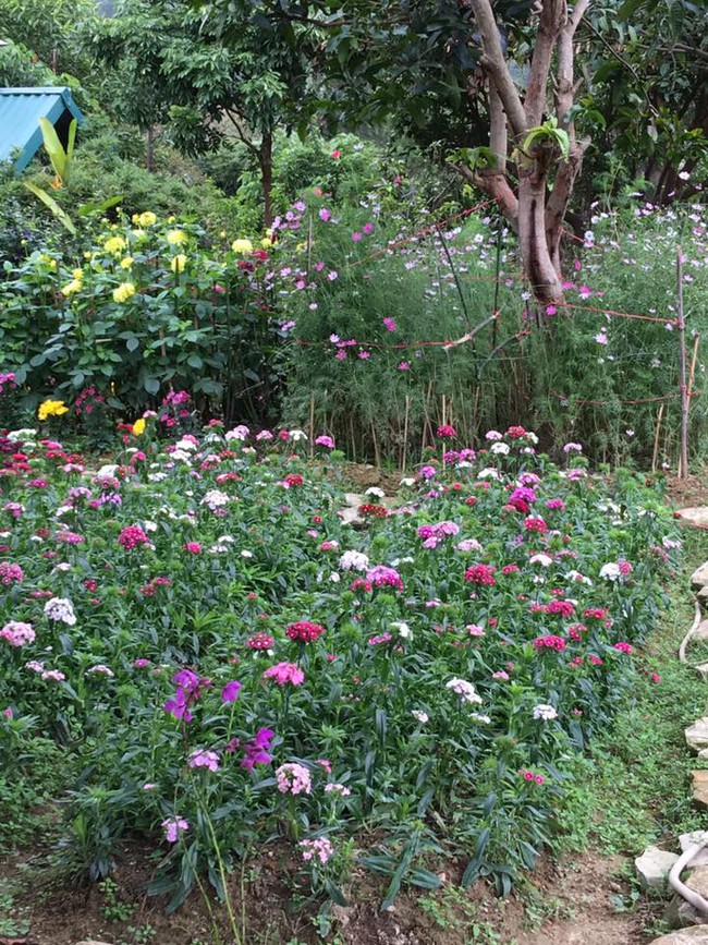 Cuộc sống bình yên của gia đình ca sĩ Mỹ Linh trong nhà vườn ngập tràn sắc hoa ở ngoại ô - Ảnh 15.