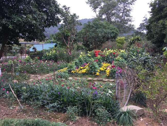 Cuộc sống bình yên của gia đình ca sĩ Mỹ Linh trong nhà vườn ngập tràn sắc hoa ở ngoại ô - Ảnh 16.