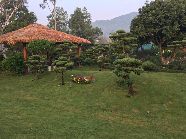 Cuộc sống bình yên của gia đình ca sĩ Mỹ Linh trong nhà vườn ngập tràn sắc hoa ở ngoại ô - Ảnh 18.