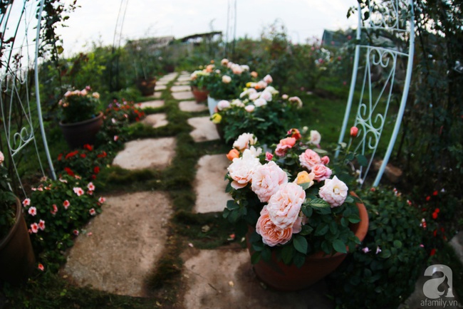 Lạc lối giữa vườn hồng rộng đến 5000m² của cô gái 9x ở Hà Nội - Ảnh 3.