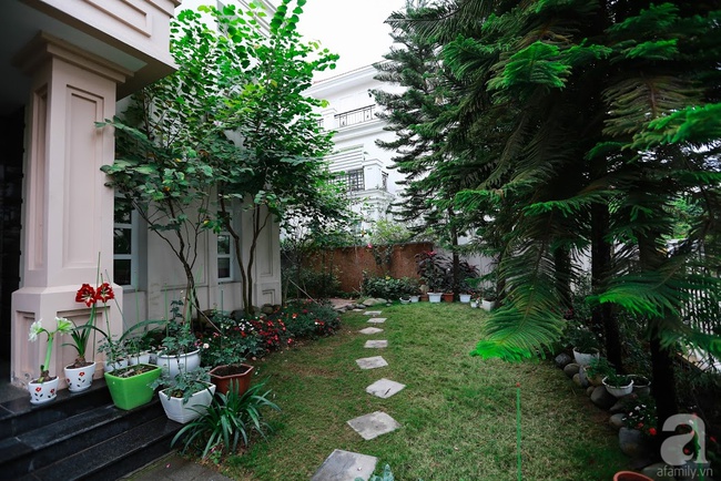 Biệt thự sân vườn sở hữu những khoảng xanh đẹp đến từng chi tiết của vợ chồng KTS ở Hà Nội - Ảnh 4.