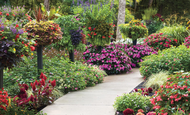4 ý tưởng trang trí sân vườn bằng các loài hoa cho mùa hè rực rỡ - Ảnh 8.
