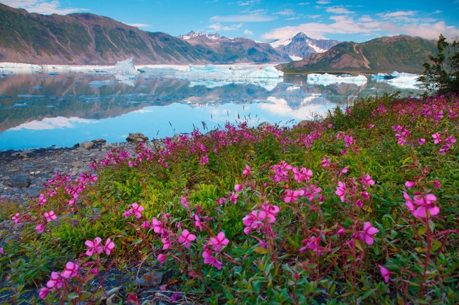 Có một Alaska hoang dã và đẹp phóng khoáng khiến ai cũng ước một lần được đặt chân - Ảnh 11.