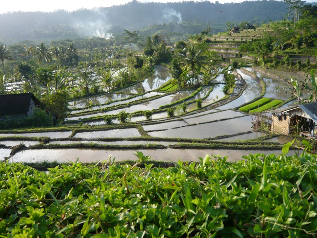 Trải nghiệm 48 giờ đáng giá đến từng phút giây ở Bali - hòn đảo của các vị thần - Ảnh 4.