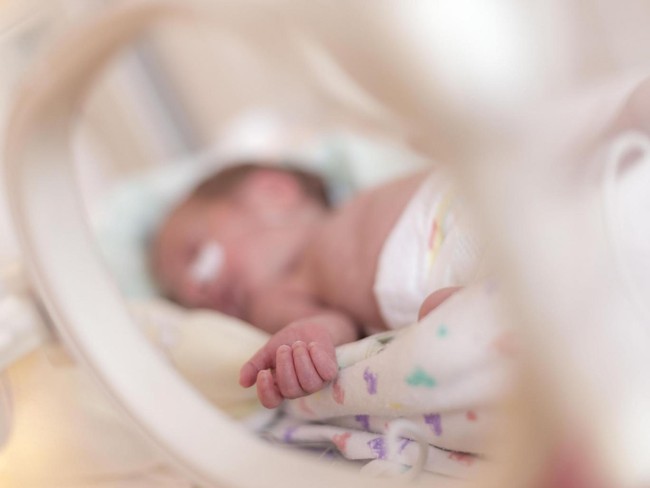 Phát minh mang tính đột phá: Tử cung nhân tạo giúp các bé sinh non có thêm cơ hội sống sót - Ảnh 4.