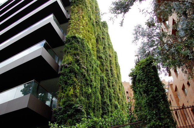 Tòa nhà phủ đầy cây xanh ẩn chứa những điều tuyệt vời khiến ai cũng ao ước sở hữu - Ảnh 2.