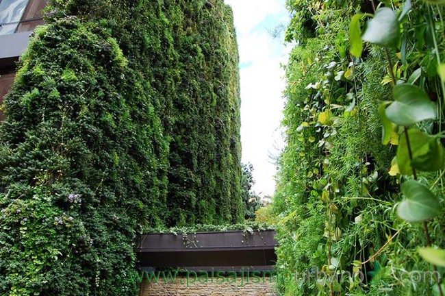 Tòa nhà phủ đầy cây xanh ẩn chứa những điều tuyệt vời khiến ai cũng ao ước sở hữu - Ảnh 7.