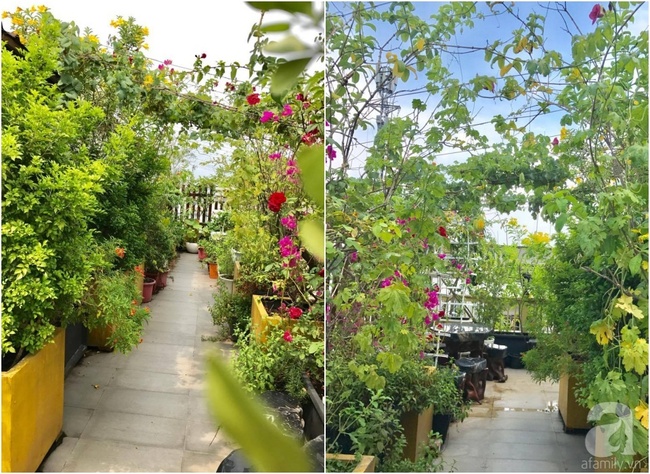 Khu vườn trên sân thượng rộng tới 200m² bạt ngàn rau quả sạch của nữ doanh nhân Sài Thành - Ảnh 8.