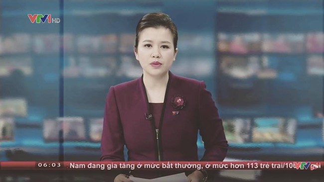 BTV Ngọc Diệp chia sẻ lý do quyết định nghỉ việc ở VTV - Ảnh 1.