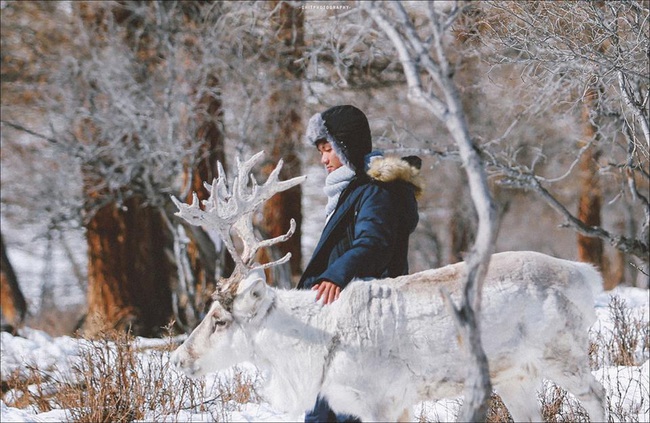 Vượt qua cái lạnh -35 độ, chàng trai người Việt tìm đến bộ lạc tuần lộc cuối cùng ở Mông Cổ! - Ảnh 16.
