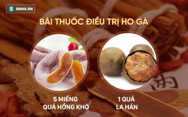 Đông y TQ ca ngợi đây là quả thần tiên của sức khỏe: VN vừa nhiều vừa rẻ - Ảnh 5.