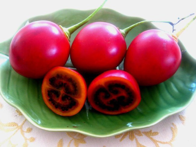 Cà chua lại 1 triệu đồng/kg: Hàng hiếm xôn xao Hà Thành - Ảnh 4.
