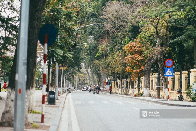 Hà Nội những ngày này lãng mạn đến lạ trong sắc vàng của mùa cây thay lá - Ảnh 6.