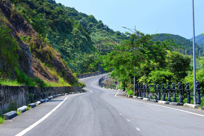 Sơn Tr&agrave; đẹp mi&ecirc;n man thời khắc giao m&ugrave;a - Ảnh 2.
