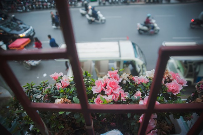 Cuối tuần, ngắm những ban công cũ xinh xắn đầy hoa của Hà Nội phút giao mùa - Ảnh 5.