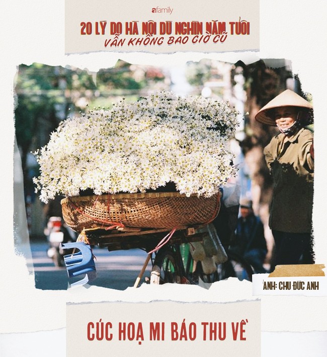 20 lý do Hà Nội dù nghìn năm tuổi vẫn không bao giờ cũ kỹ, vẫn đáng yêu như thuở đầu ta gặp - Ảnh 5.