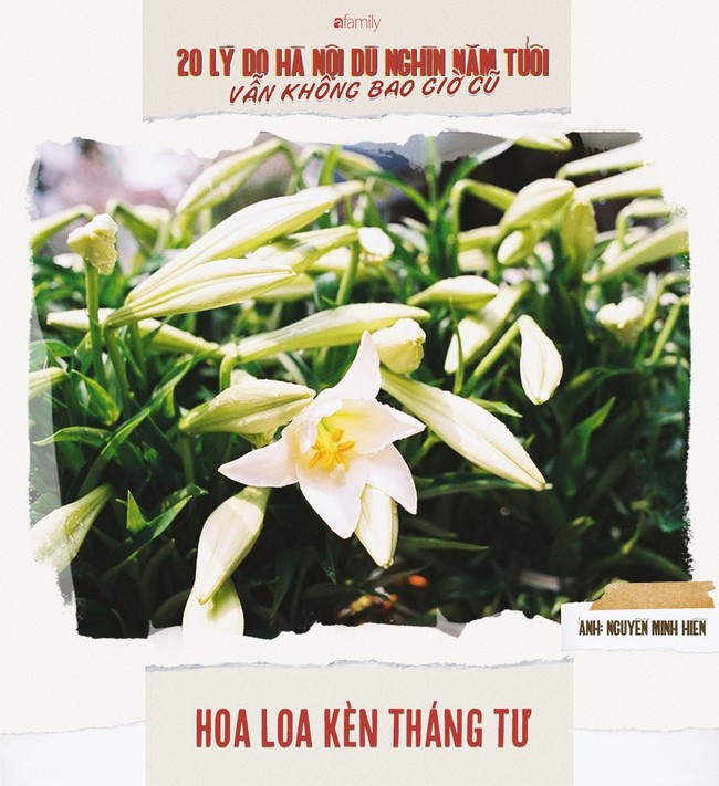 20 lý do Hà Nội dù nghìn năm tuổi vẫn không bao giờ cũ kỹ, vẫn đáng yêu như thuở đầu ta gặp - Ảnh 6.