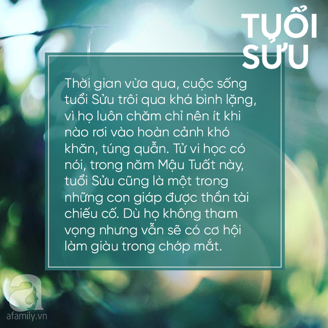 Vào thời khắc chuyển giao giữa 2018-2019, 3 con giáp này khổ tận cam lai, làm gì cũng may mắn phát tài, phú quý trong tầm tay - Ảnh 2.