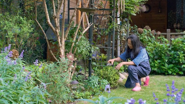 Tất bật nhiều năm tuổi trẻ, người phụ nữ tuổi 40 dành dụm tiền mua căn nhà vườn xinh xắn sống cuộc đời an yên - Ảnh 13.