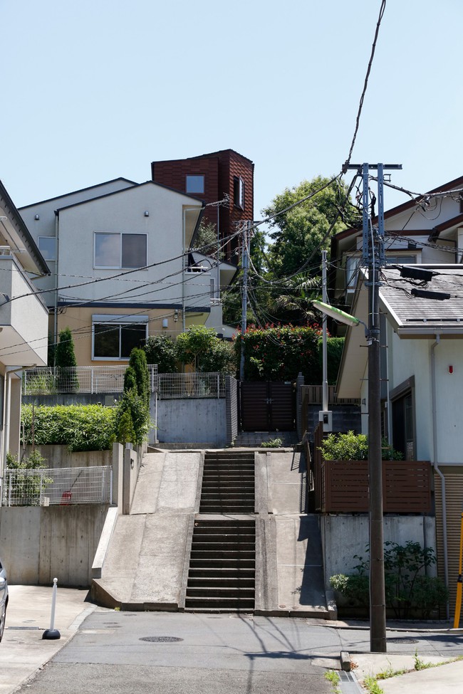 Giữa thủ đô Tokyo chật chội lại có một ngôi nhà vô cùng xanh mát với cây xanh - Ảnh 1.