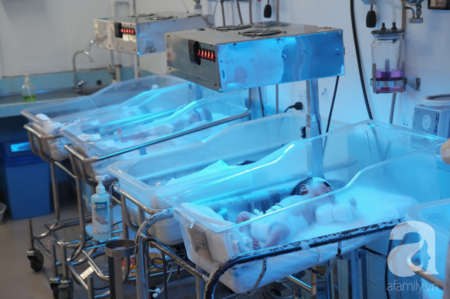 TP.HCM: Cảm động cảnh điều dưỡng tự bỏ tiền túi mua tã sữa cho ba đứa trẻ sơ sinh bị mẹ đẻ xong rồi bỏ rơi trong viện - Ảnh 13. TP.HCM: Cảm động cảnh điều dưỡng tự bỏ tiền túi mua tã sữa cho ba đứa trẻ sơ sinh bị mẹ đẻ xong rồi bỏ rơi trong viện - Ảnh 13.