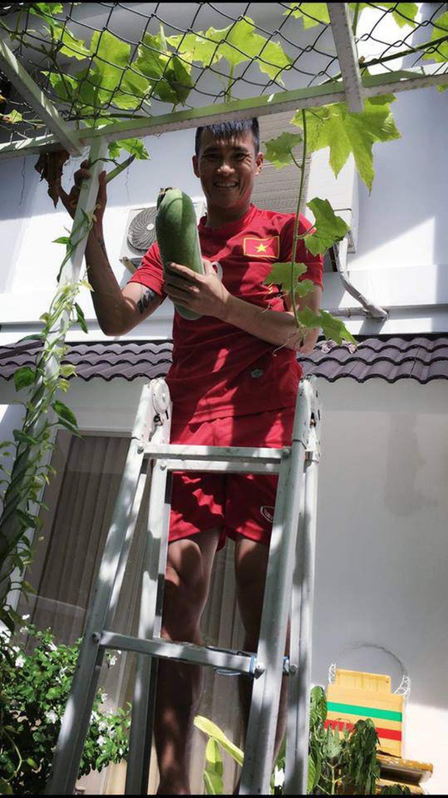 Vợ chồng Công Vinh – Thủy Tiên vui vẻ thu hoạch rau quả sạch trong vườn nhà - Ảnh 10.