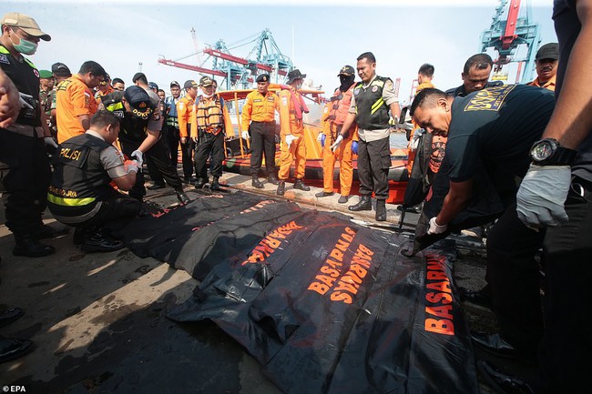 Thực hư về bức ảnh em bé sống sót trên chuyến bay tử thần Lion Air JT 610 được chia sẻ chóng mặt trên mạng - Ảnh 3. Thực hư về bức ảnh em bé sống sót trên chuyến bay tử thần Lion Air JT 610 được chia sẻ chóng mặt trên mạng - Ảnh 3.