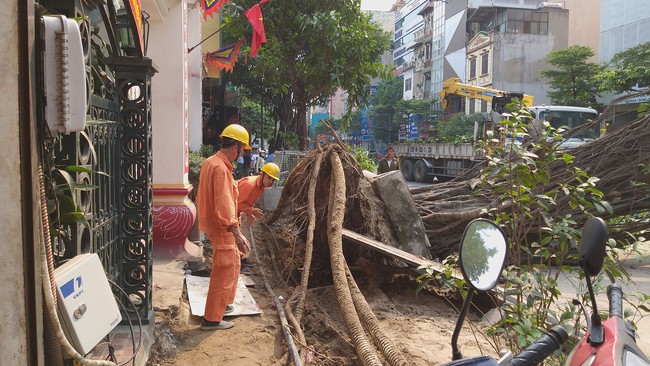 Hà Nội: Cây đa cổ thụ bất ngờ đổ chắn ngang đường, tài xế thót tim khi thoát nạn - Ảnh 7.