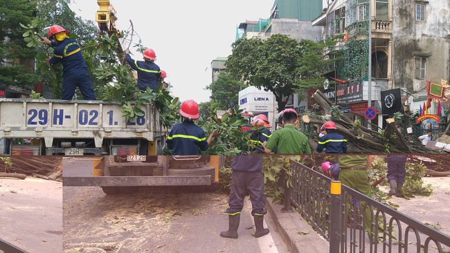 Hà Nội: Cây đa cổ thụ bất ngờ đổ chắn ngang đường, tài xế thót tim khi thoát nạn - Ảnh 2.