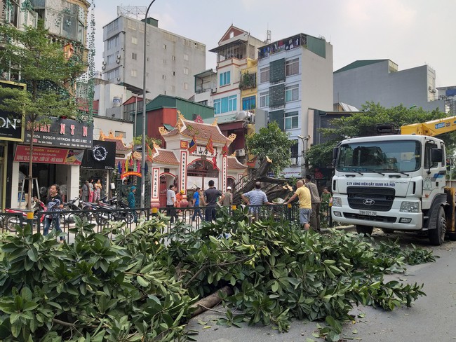 Hà Nội: Cây đa cổ thụ bất ngờ đổ chắn ngang đường, tài xế thót tim khi thoát nạn - Ảnh 10.