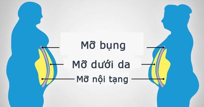 Đây mới là loại chất béo trong cơ thể cần loại bỏ đầu tiên vì nó vừa cứng đầu vừa khiến đe dọa sức khỏe của bạn - Ảnh 2.